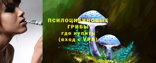 PSILOCYBIN Белоозёрский