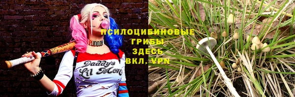 МДПВ Богданович