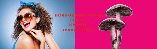 спайс Беломорск