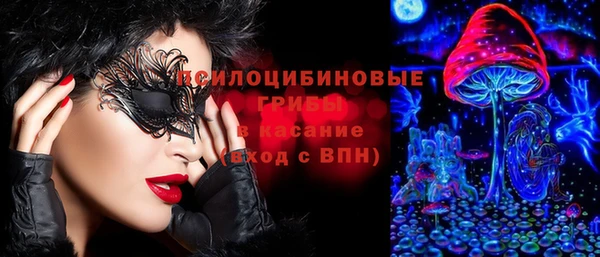 спайс Беломорск