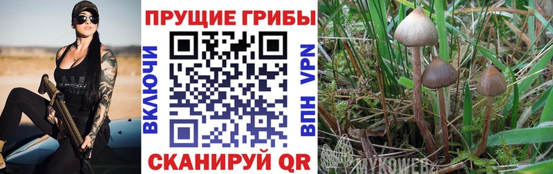 Псилоцибиновые грибы ЛСД  Городище 